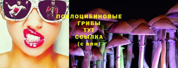 бошки Баксан