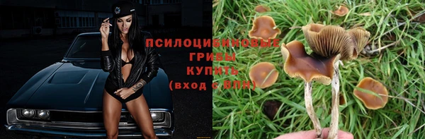 винт Приозерск