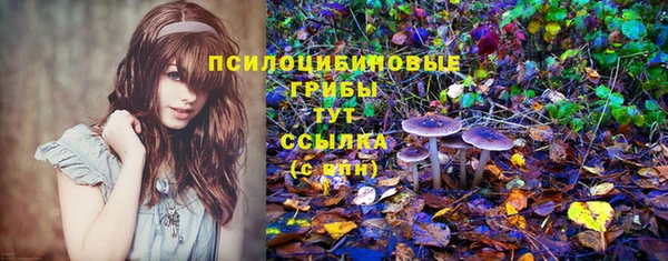 бошки Баксан