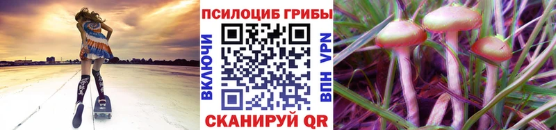 Псилоцибиновые грибы мицелий  Озёры 